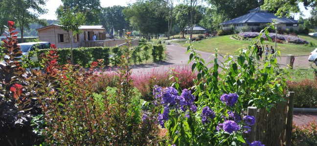 CHALET PMR- sablesursarthe-camping-vue-densemble